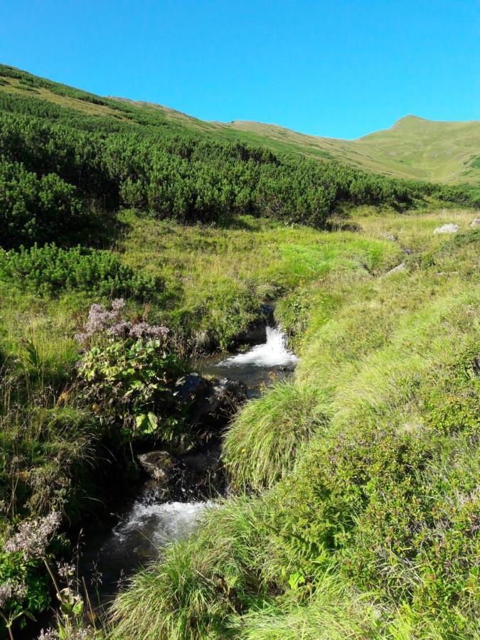 Almland Huette Villa Pusterwald Eksteriør billede